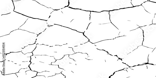 A close-up, high-contrast black and white photograph showcasing a network of intricate cracks, resembling a dried-up surface, shattered glass, or a distressed texture. The lines are sharp and angular.