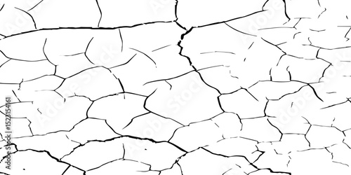 Generate a high-contrast, detailed image of a finely cracked white surface. The cracks should appear as thin, dark lines forming an intricate network across the white background, 