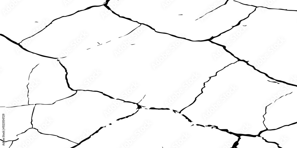 Obraz premium A stark, high-contrast, black and white texture image depicting a pattern of cracks, resembling distressed paint,shattered glass,or parched earth.The background is pure white,and the cracks are sharp.