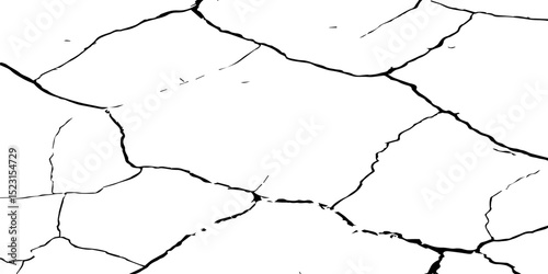 A stark, high-contrast, black and white texture image depicting a pattern of cracks, resembling distressed paint,shattered glass,or parched earth.The background is pure white,and the cracks are sharp.