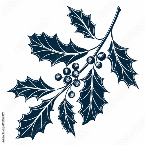 black and white mistletoe