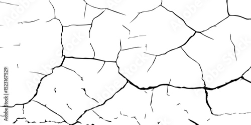 A stark, high-contrast, black and white texture image depicting a pattern of cracks, resembling distressed paint,shattered glass,or parched earth.The background is pure white,and the cracks are sharp.