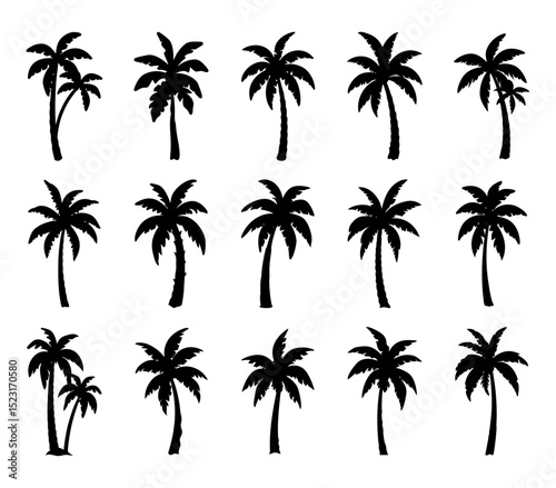 Palm tree silhouettes set – black palm tree shapes collection, isolated vector on white background	
