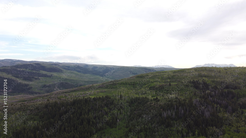 Fototapeta premium Aerial photographs of Guardsman Pass in the Wasatch Mountains of Utah, showcasing winding alpine roads, dense green forests, and high-elevation terrain under clear summer skies. Captured with a drone,