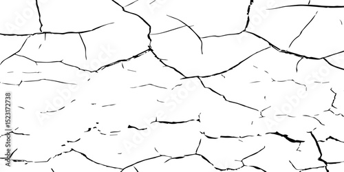 A stark, high-contrast, black and white texture image depicting a pattern of cracks, resembling distressed paint,shattered glass,or parched earth.The background is pure white,and the cracks are sharp.