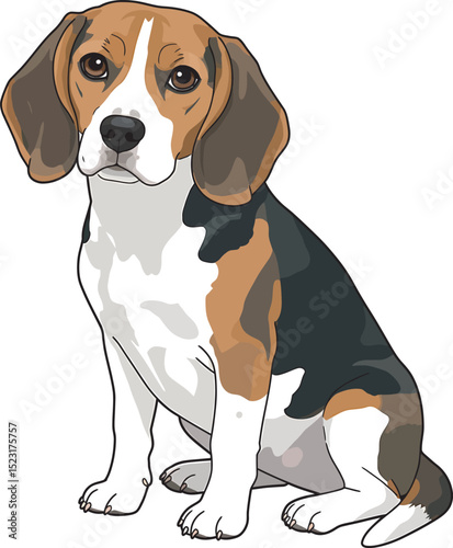 Beagle Dog Vector white color background 