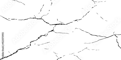 A close-up, high-contrast black and white photograph showcasing a network of intricate cracks, resembling a dried-up surface, shattered glass, or a distressed texture. The lines are sharp and angular.