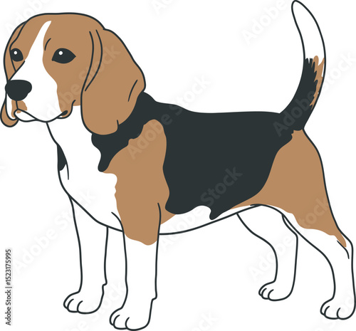 Beagle Dog Vector white color background 