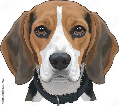 Beagle Dog Vector white color background 