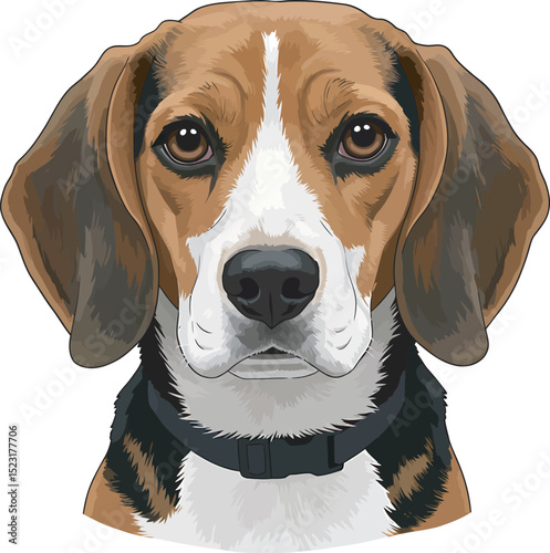 Beagle Dog Vector white color background 