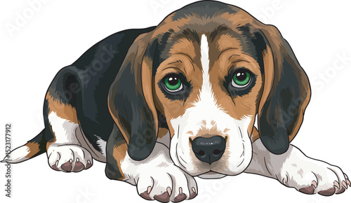 Beagle Dog Vector white color background 
