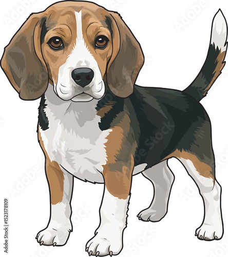 Beagle Dog Vector white color background 