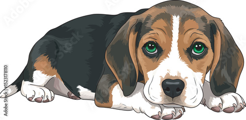 Beagle Dog Vector white color background 
