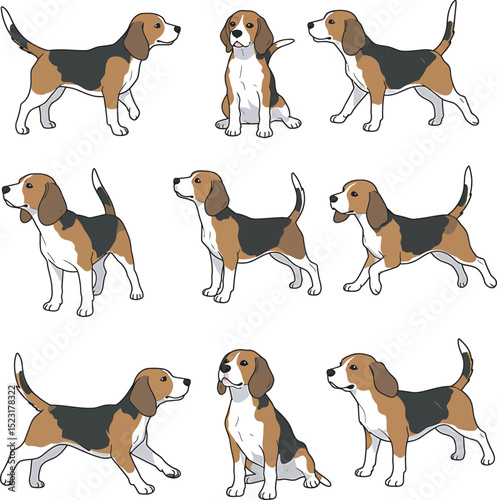 Beagle Dog Vector white color background 