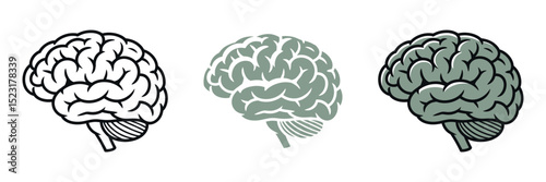 Three Brain Illustrations in Different Styles Outline Solid Color and Shaded with Outline Representing Neurology Intelligence and Cognitive Function on a White Background