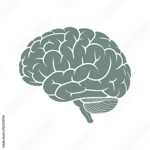 Anatomical Illustration of the Human Brain in Profile View Showing the Lobes and Structures Rendered in a Simple Monochromatic Style on a White Background