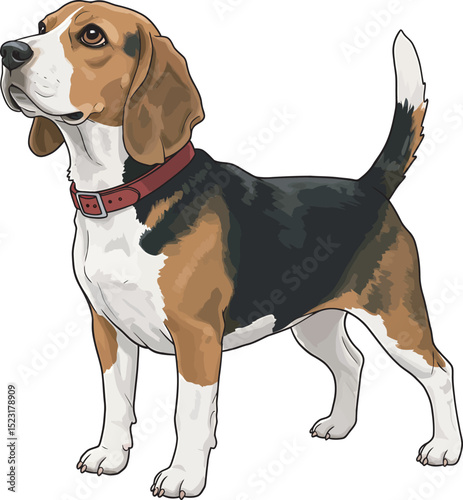 Beagle Dog Vector white color background 
