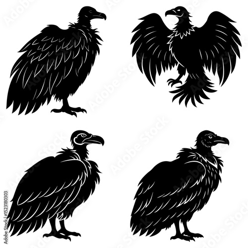 Four black vulture illustrations in different poses showcasing detailed feather patterns and body shapes