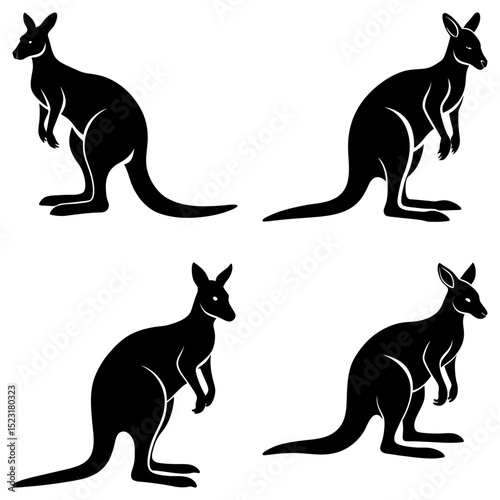 Four kangaroos in black silhouette posing in different stances on a white background illustration style image