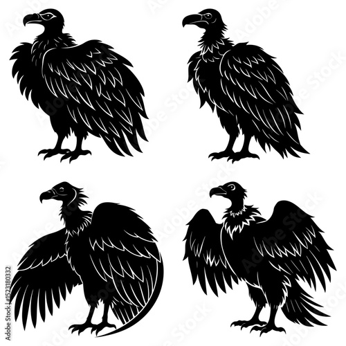 Four black and white vultures in different poses with detailed feathering and sharp beaks standing tall