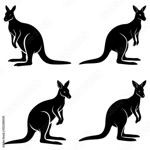 Four kangaroo silhouettes in various poses against a white background displaying their unique forms
