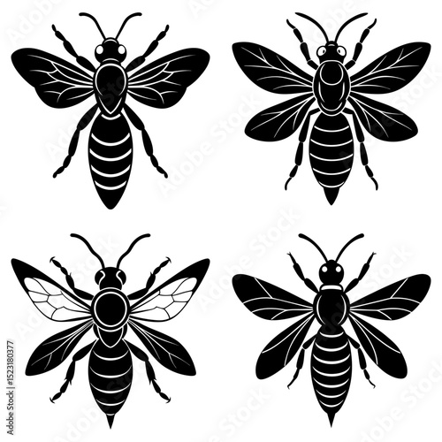 Four black and white vector illustrations of bees with different wing designs and body shapes shown