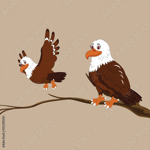 Bald eagle flying and normal position draw on white background vector illustration.
Mode by Illustrator for moral cartoon story. 
