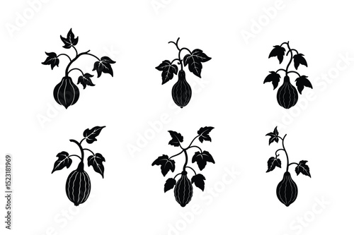 set of bitter gourd plant silhouette vector illustration