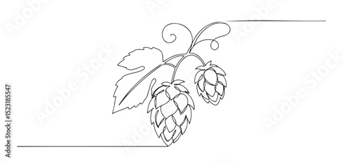 Hop flowers minimalistic line art, decorative design for brewing and beverage projects