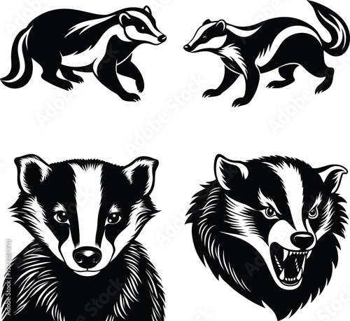 Black and white badger Hand drawn vector badgers and plants on white

