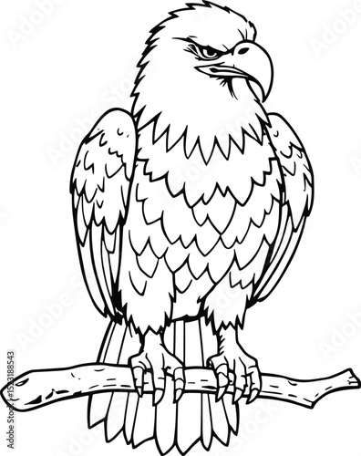eagle black line art on white background