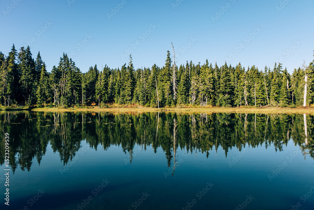 Fototapeta premium lake in the forest, Paradise Meadows Loop Trail, Strathcona Provincial Park, Vancouver Island, BC, Canada