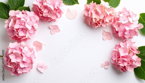 Pink Hydrangeas Floral Arrangement: A Delicate Springtime Bloom