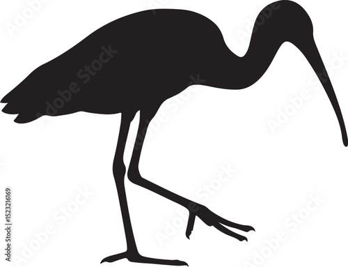 Walking ibis bird silhouette simple design, Wading bird elegant black vector sketch