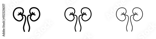 Kidneys icons in flat style. line art. vector illustration