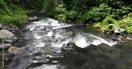 River in tropical green rainforest, 4K Aerial drone top view shot