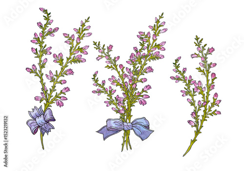 Branch heather mother's day mom vector print purple flowers blossom