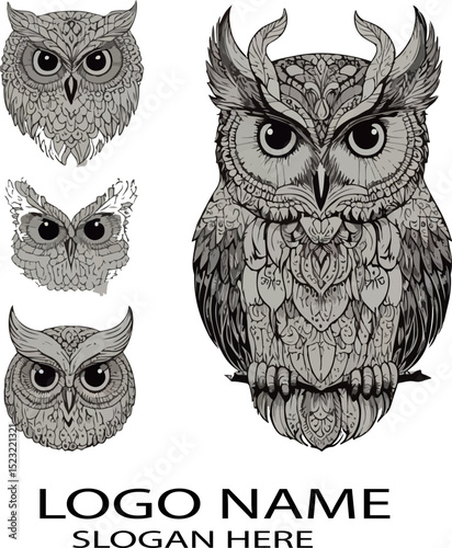 Owl bird logo icon vector .