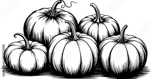 Black and white illustration of pumpkins