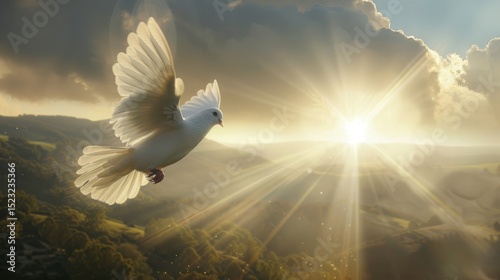 White Dove Flying over Hills at Sunrise