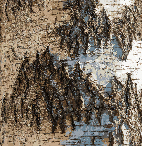 Illustration of Birch bark texture. The texture of birch bark. Birch bark background. Birch tree trunk, Betula pendula.