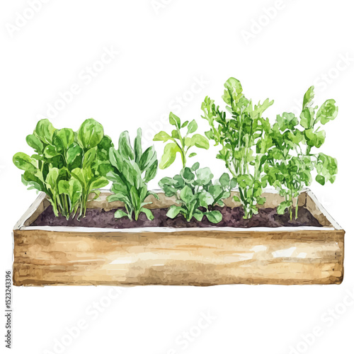 Planting Bar, watercolor vector, high quality, isolated on a white background.