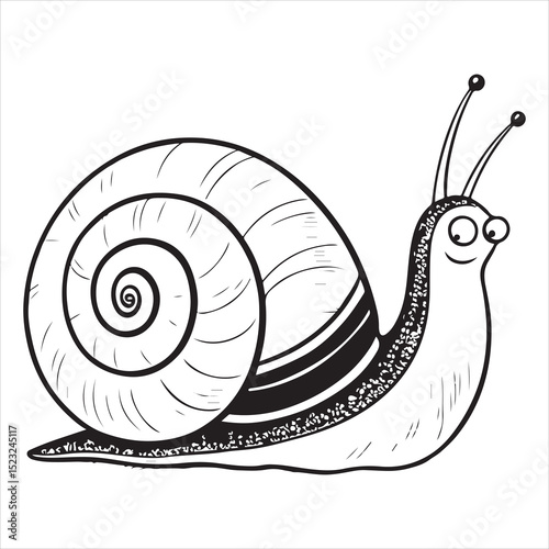 Snail vector illustration, cartoon clipart character, animal in flat style. Wild animals, wild creatures, wildlife concept. Snail vector design isolated on white backgroun.