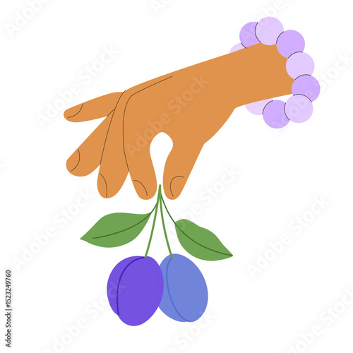 Female stylized hand with purple bracelet holds freshly picked ripe plum by stem. Cute vector illustration for berry jam jar label design, fruit farm shop advertisement.