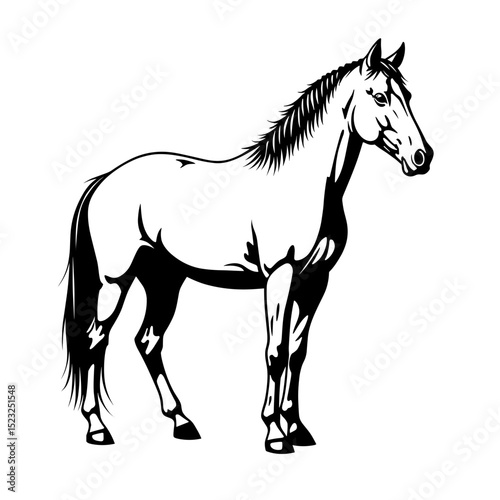 A majestic equine creature is presented in striking black and white, exuding strength and elegance. The fine lines define its powerful physique.