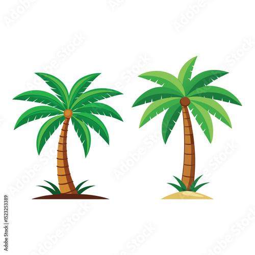 palm tree vector illustration