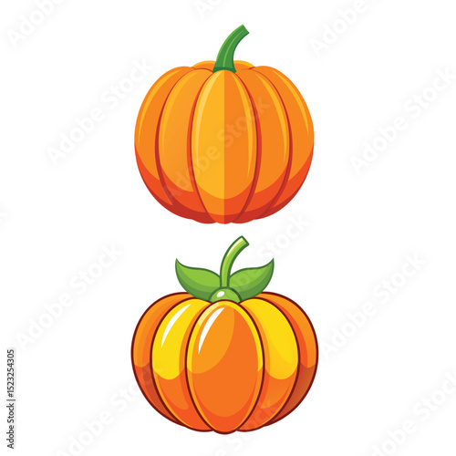 Pumpkin Vector