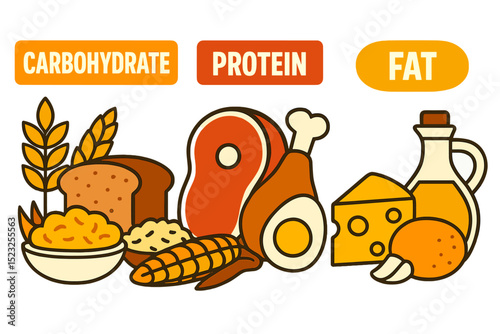 A complex diet concept is represented by a set of vector illustrations featuring carbohydrate, protein, and fat food groups, including cartoon images of grains, cereal bread, and meals made from meat