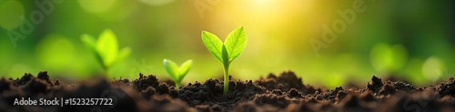 Fresh green shoots emerge from the earth, sunlight warming the land, a gentle breeze carrying the scent of new life; the essence of springtime breathing , environment, vibrant, season