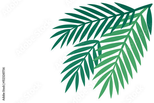 Tropical plants serve as a decoration element with palm branches in the corner